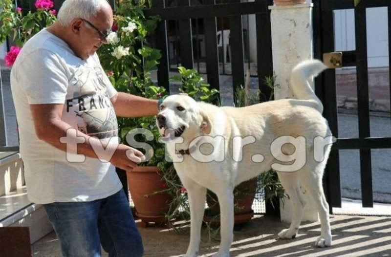 Αδιανόητο: Πρόστιμο 500 ευρώ για σκύλο που… γαβγίζει! (βίντεο)